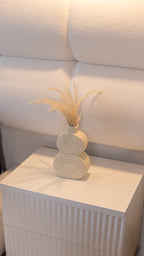 CAMA CLOUD PLUS