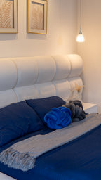 CAMA CLOUD PLUS